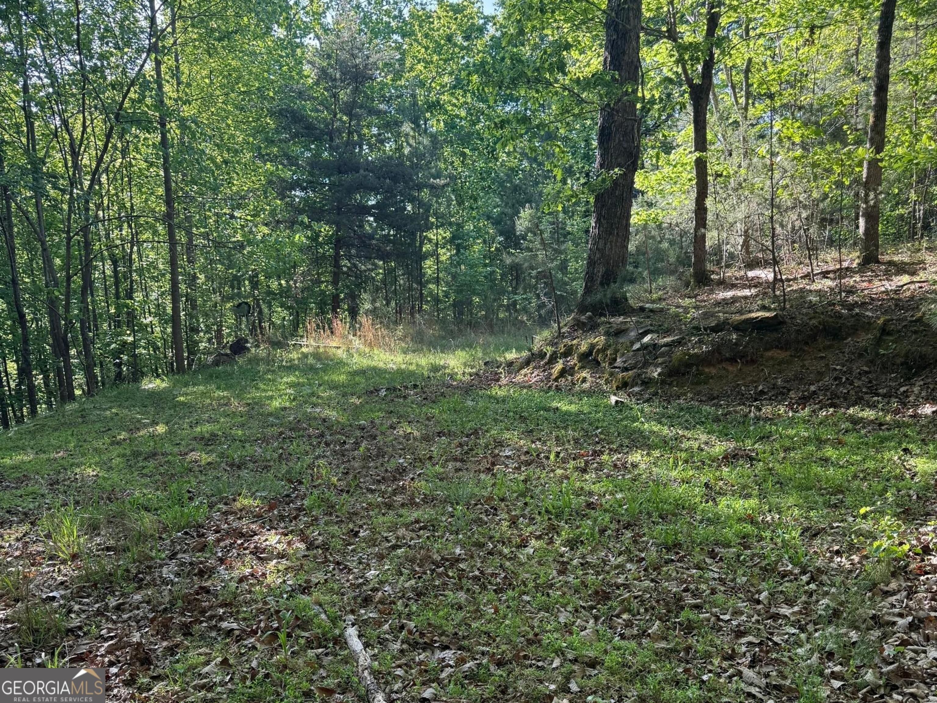 0 Baldwin Heights Road Baldwin, GA 30511 - Photo 3 of 3