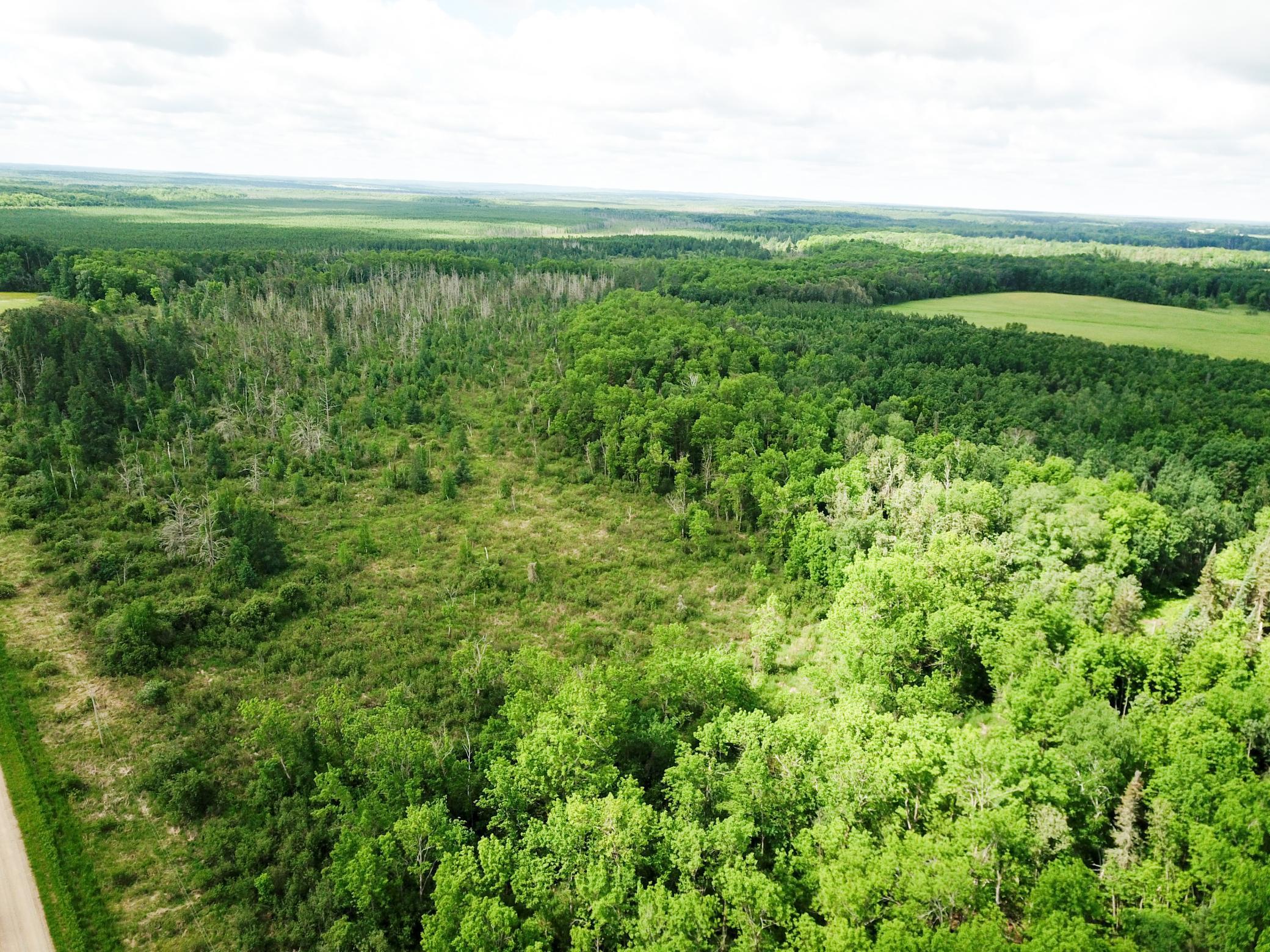 Tbd1 Mud Lake Road Bagley, MN 56621 - Photo 22 of 31