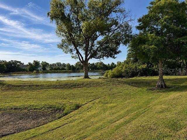 4401 Dylan Loop, Unit 164 Land O' Lakes, FL 34639 - Photo 31 of 41
