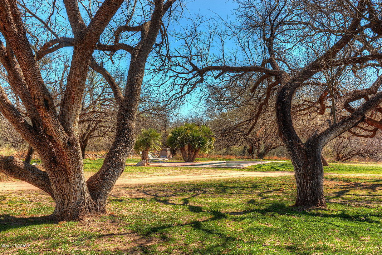 174 Bridge Road Tubac, AZ 85646 - Photo 4 of 28