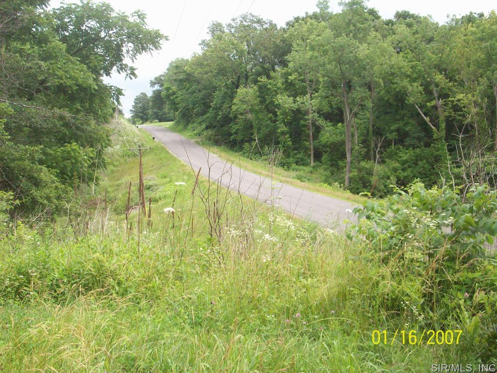 28516 McClusky Road Jerseyville, IL 62052 - Photo 24 of 27 Gallery Image 24