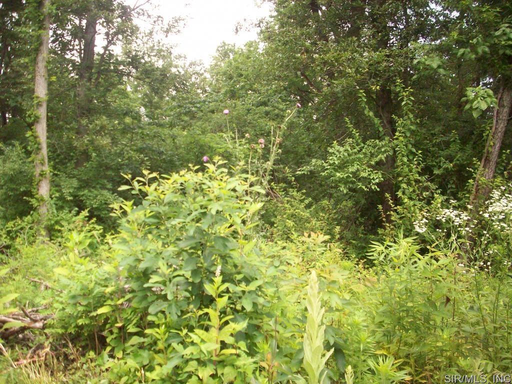 28516 McClusky Road Jerseyville, IL 62052 - Photo 26 of 27 Gallery Image 26