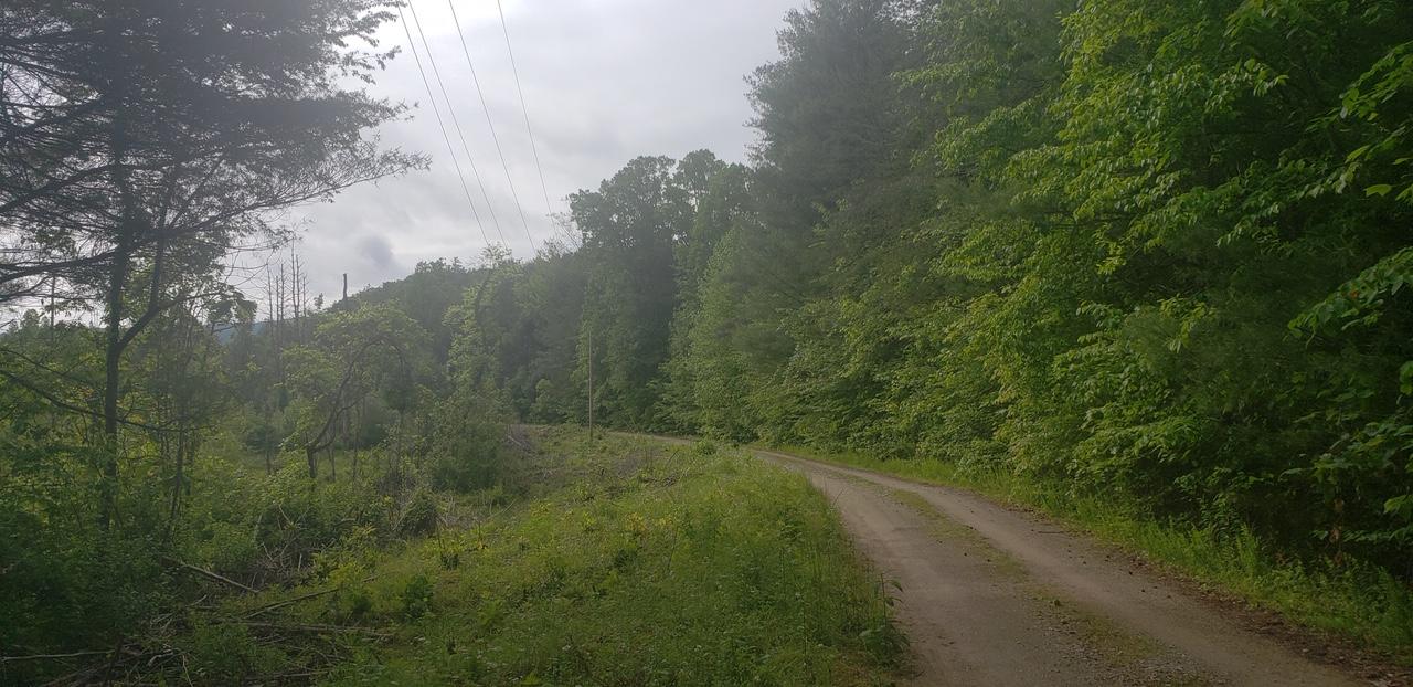 image1 (16)