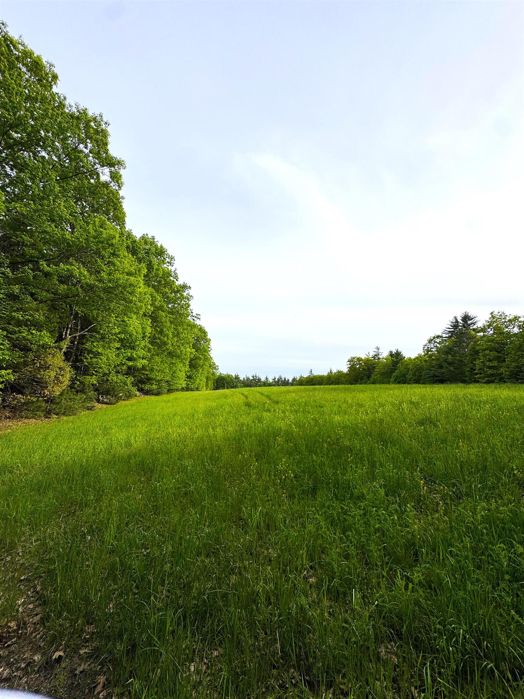 107 Greenfield Road New Boston, NH 03070 - Photo 30 of 59