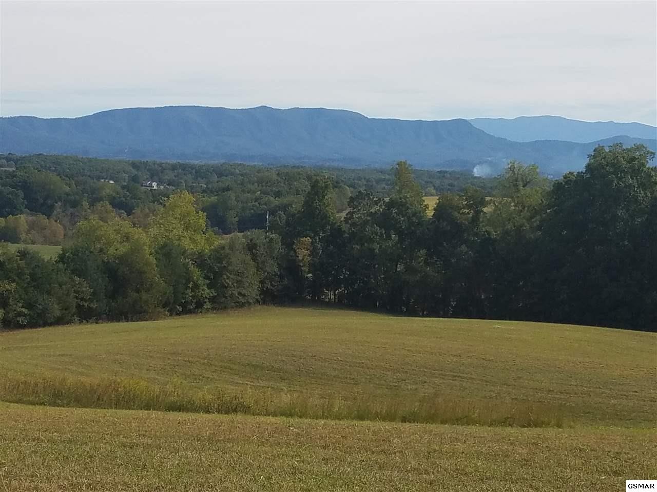 702 Zirkle Road Dandridge, TN 37725 - Photo 1 of 6 Gallery Image 1