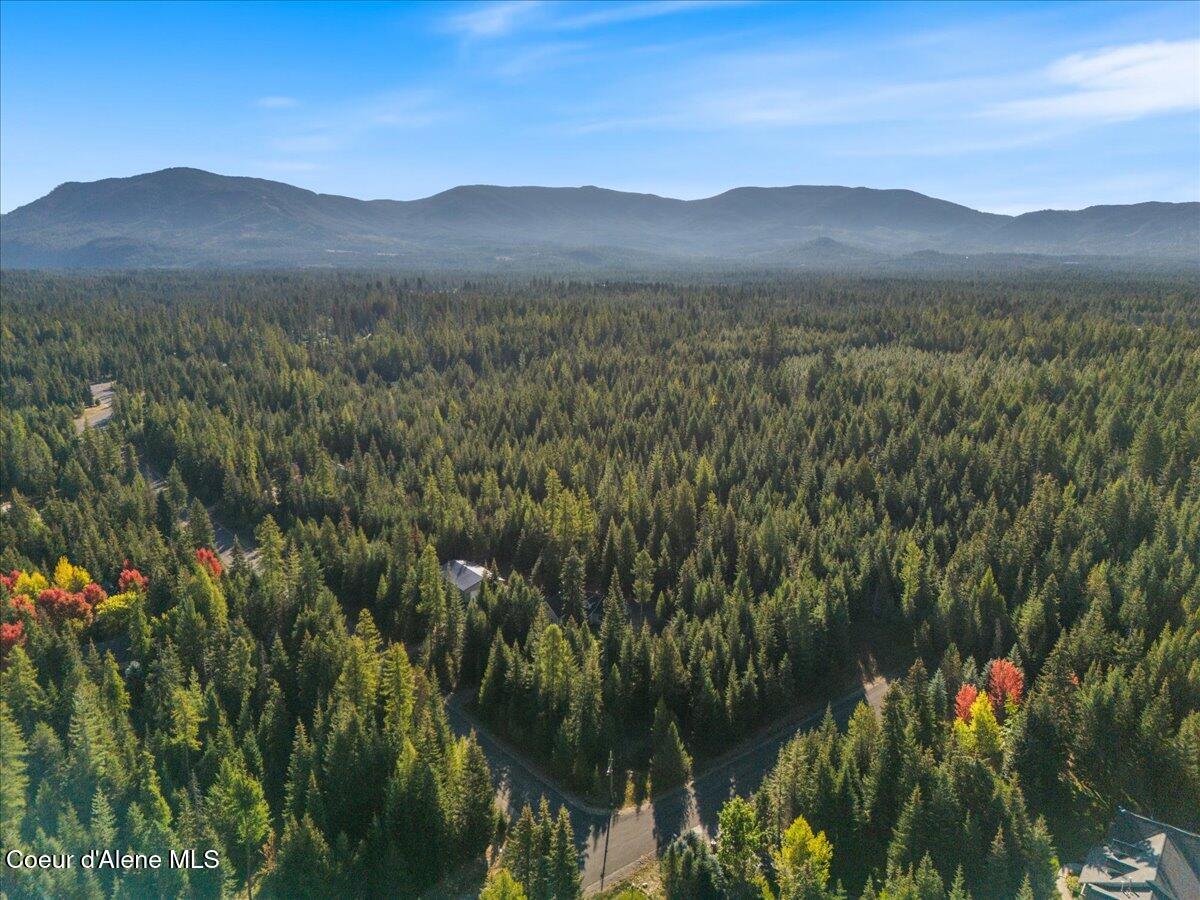10050 Duce Road Athol, ID 83801 - Photo 2 of 53 02-Aerial front of home