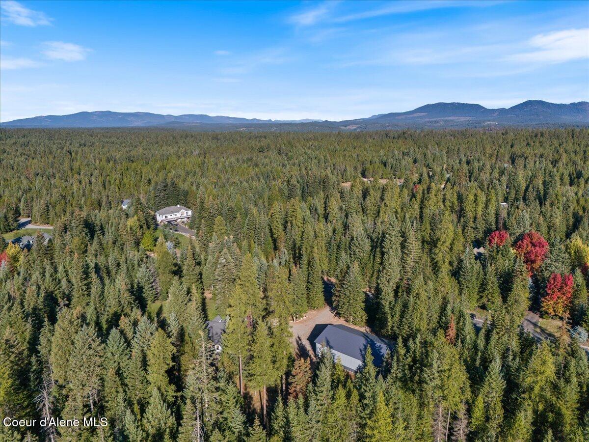 10050 Duce Road Athol, ID 83801 - Photo 43 of 53 41-Aerial back of home