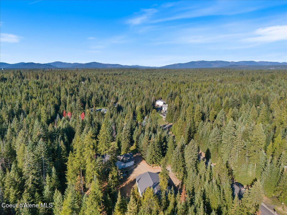 10050 Duce Road Athol, ID 83801 - Photo 44 of 53 42-Aerial back of home