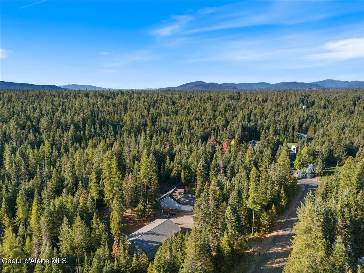 10050 Duce Road Athol, ID 83801 - Photo 45 of 53 43-Aerial side of home