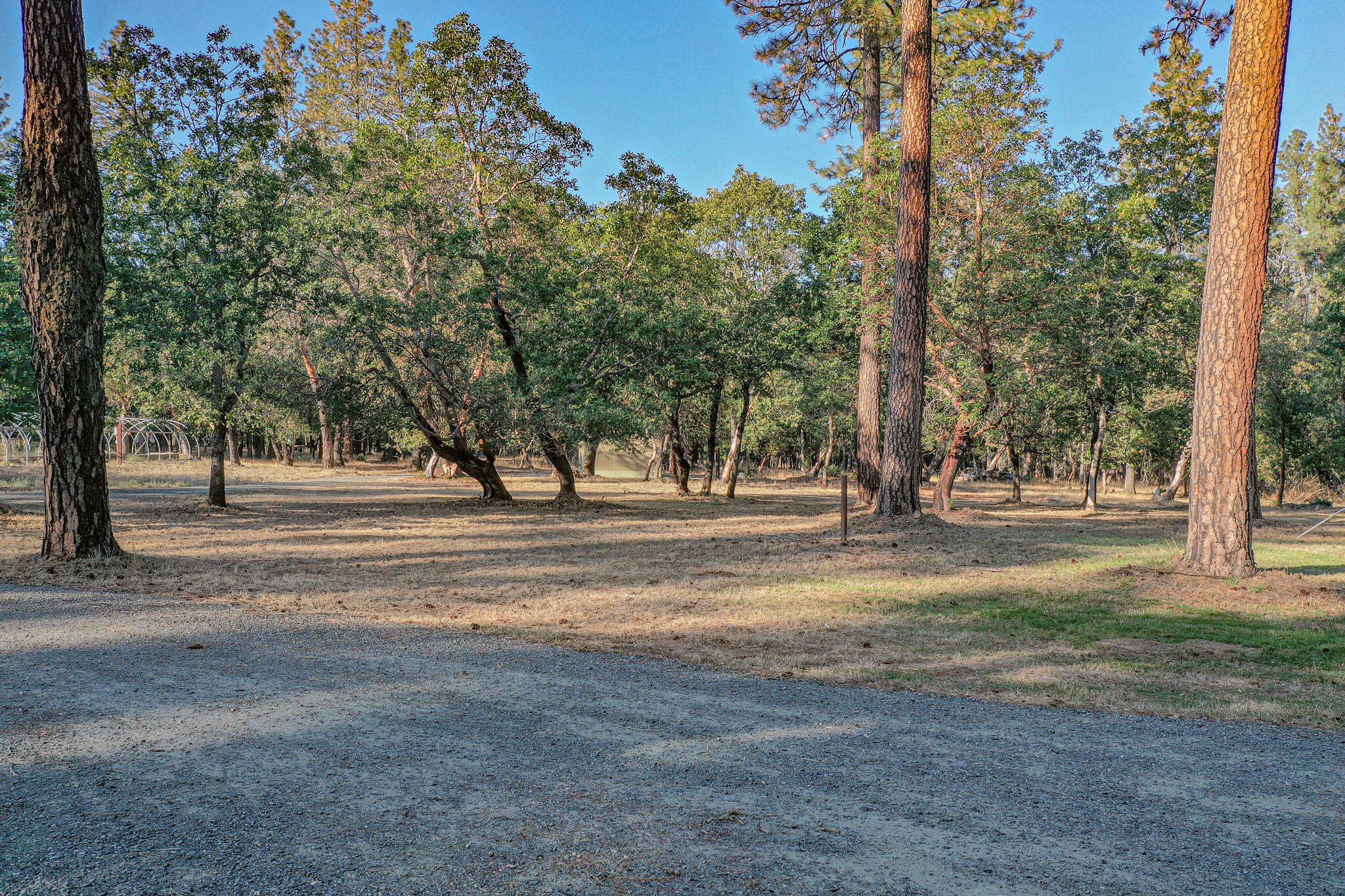 1800 Powell Creek Road Williams, OR 97544 - Photo 41 of 46 DJI_0816