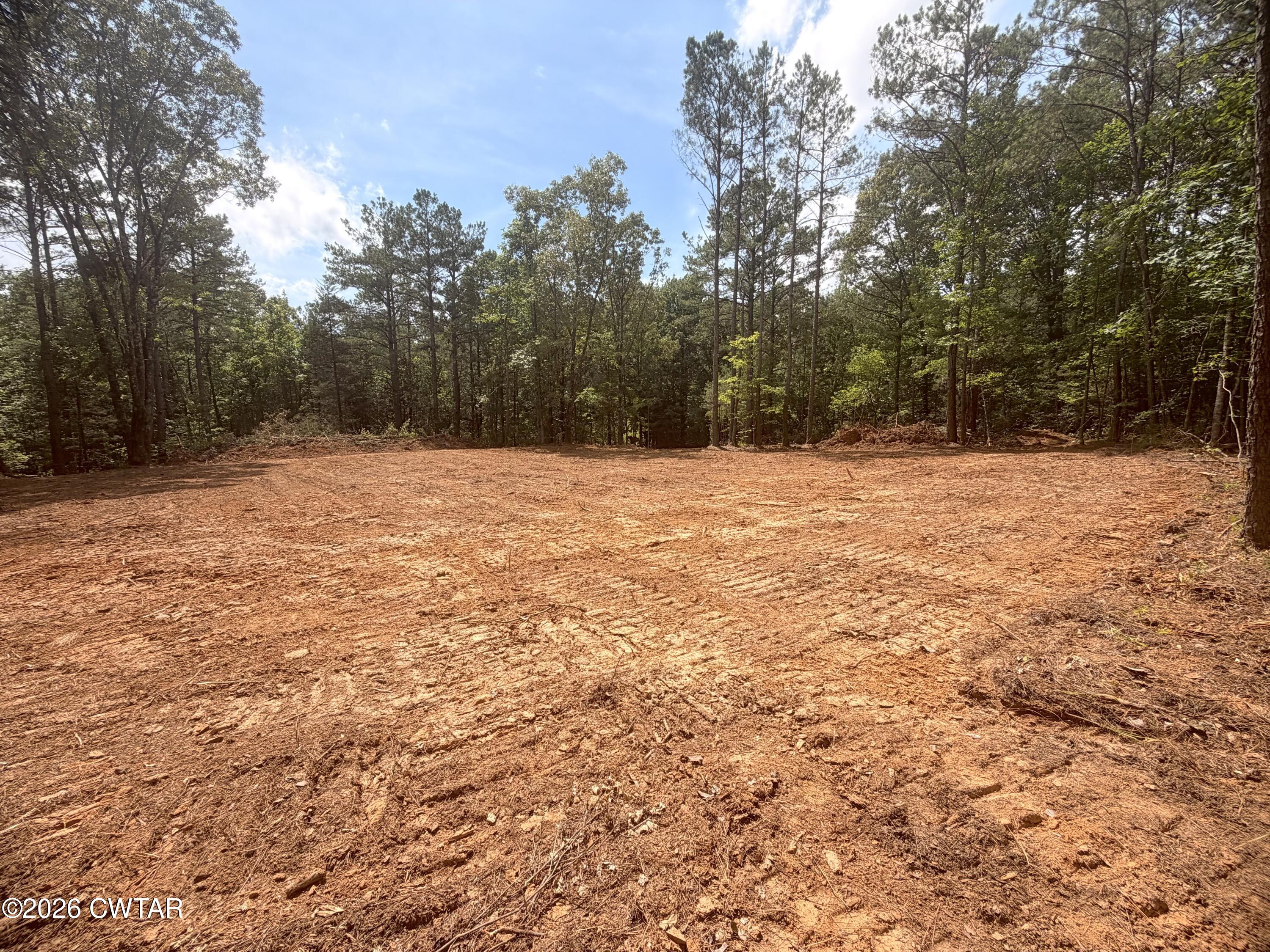 0 Old Lula Road Reagan, TN 38368 - Photo 5 of 18 IMG_4601