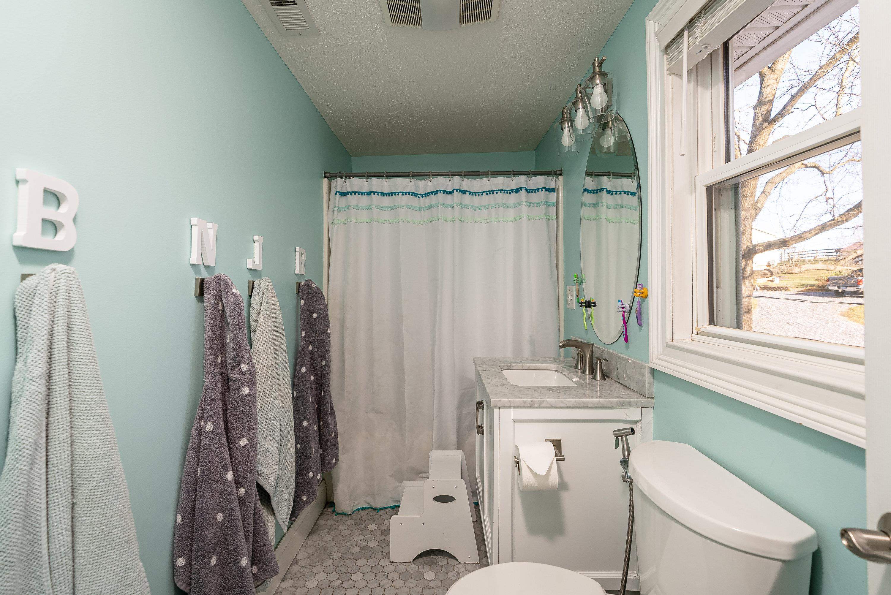 3667 Dry Hollow Road Dayton, VA 22821 - Photo 36 of 68 a bathroom with a sink toilet and shower