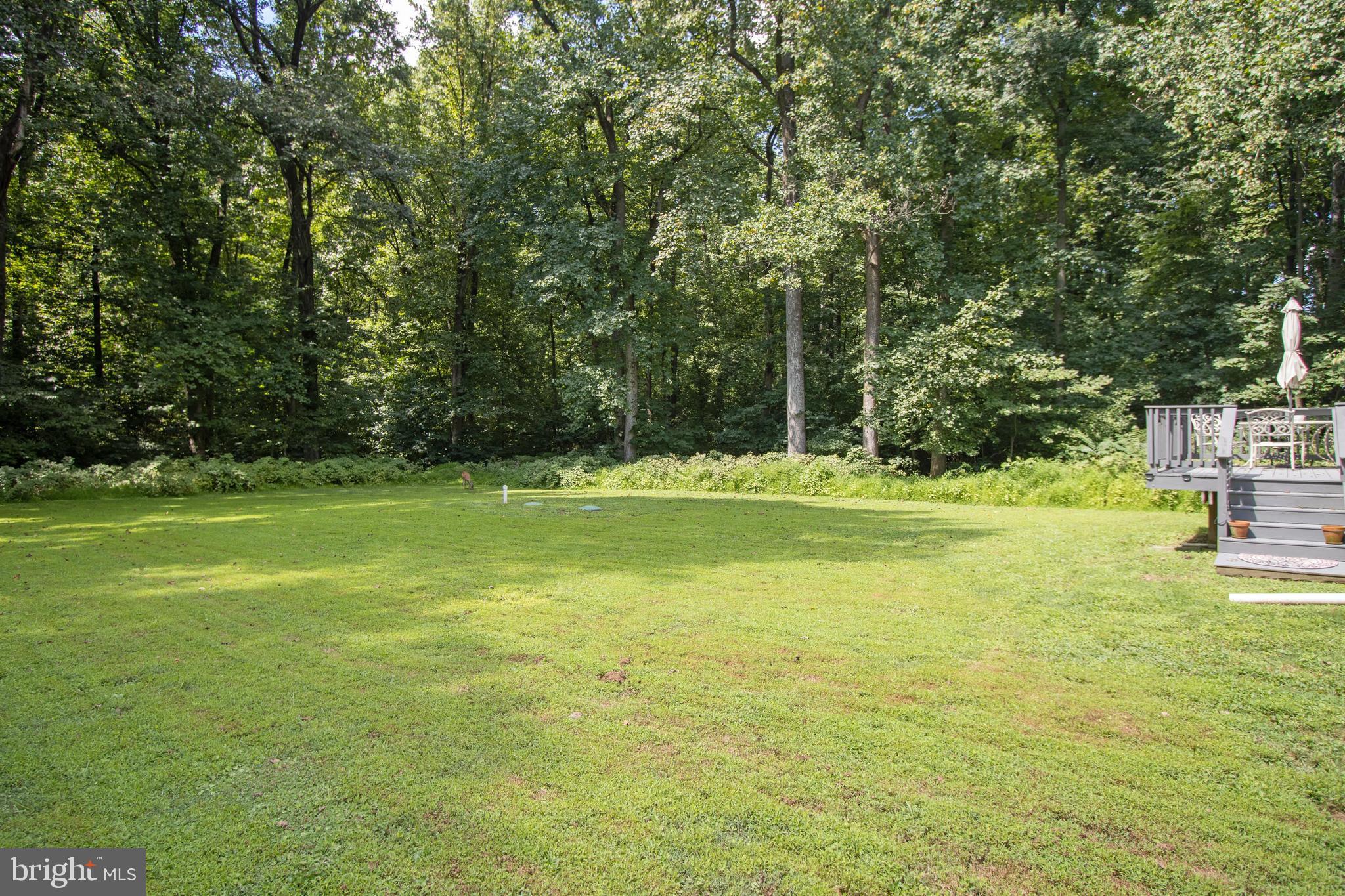 3506 New Design Road Frederick, MD 21703 - Photo 42 of 44 Backyard