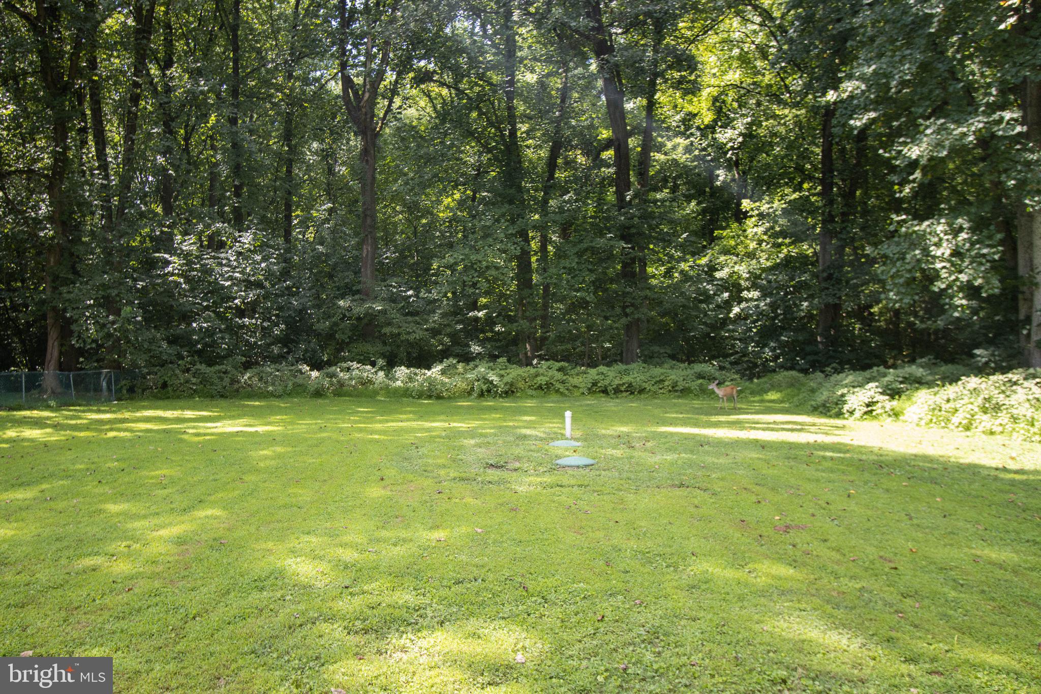 3506 New Design Road Frederick, MD 21703 - Photo 43 of 44 Backyard