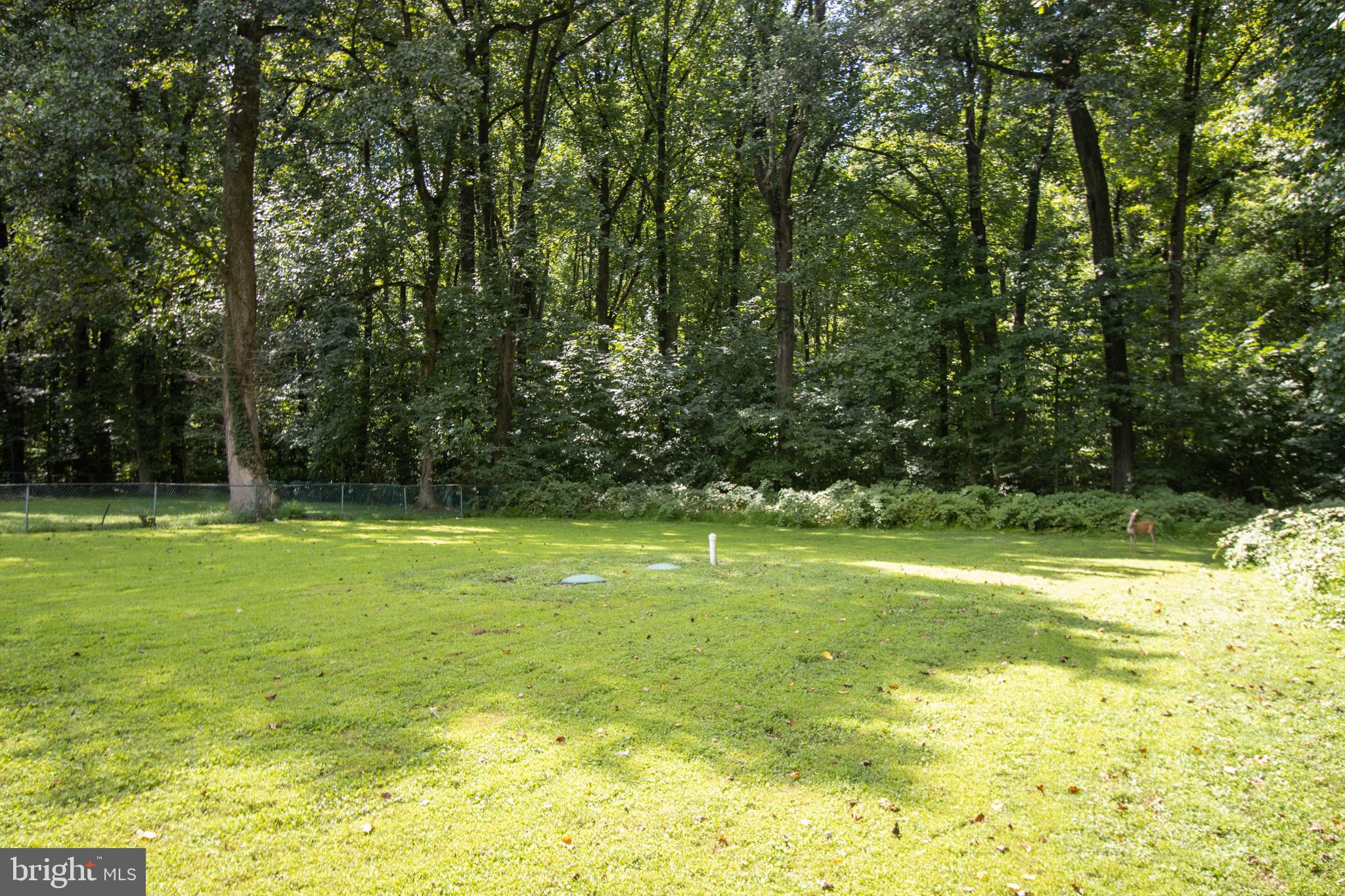 3506 New Design Road Frederick, MD 21703 - Photo 44 of 44 Backyard