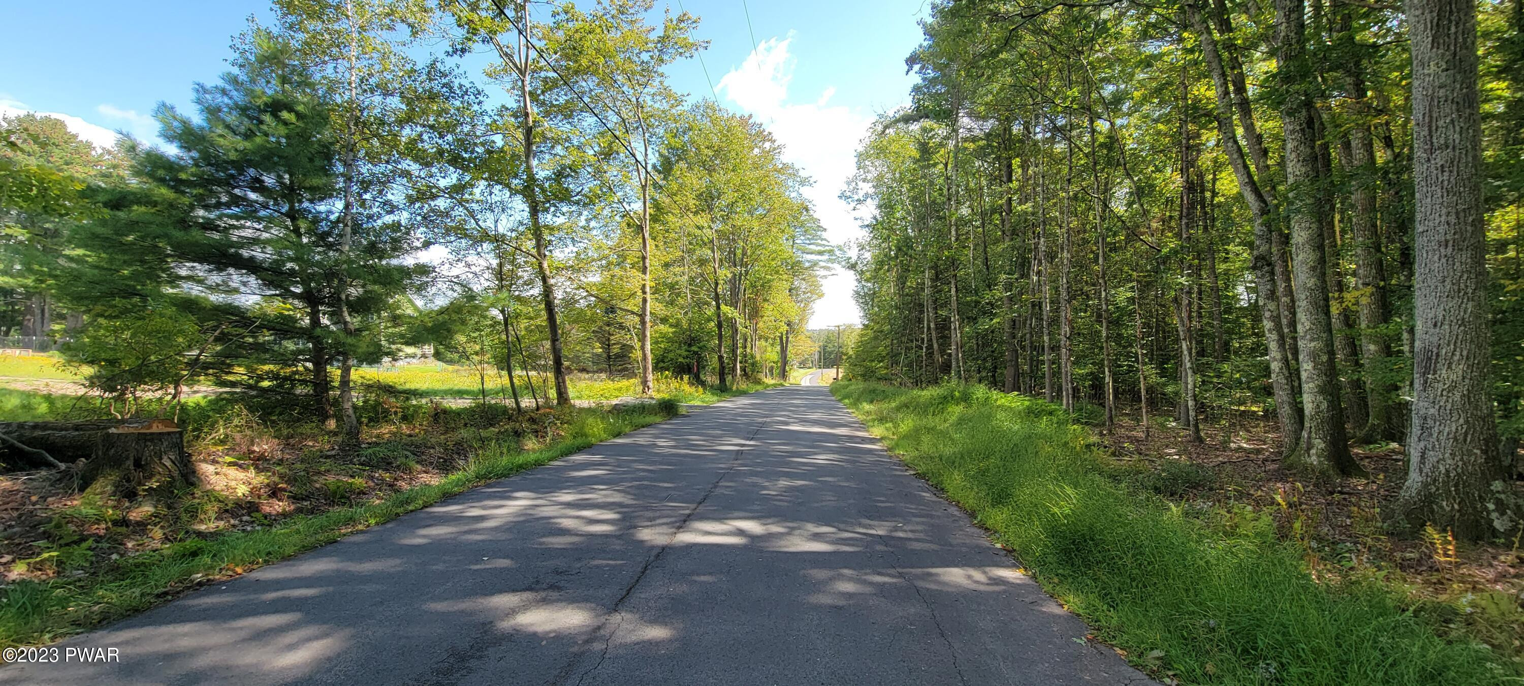Lot #21 Mohn Road Narrowsburg, NY 12764 - Photo 8 of 9