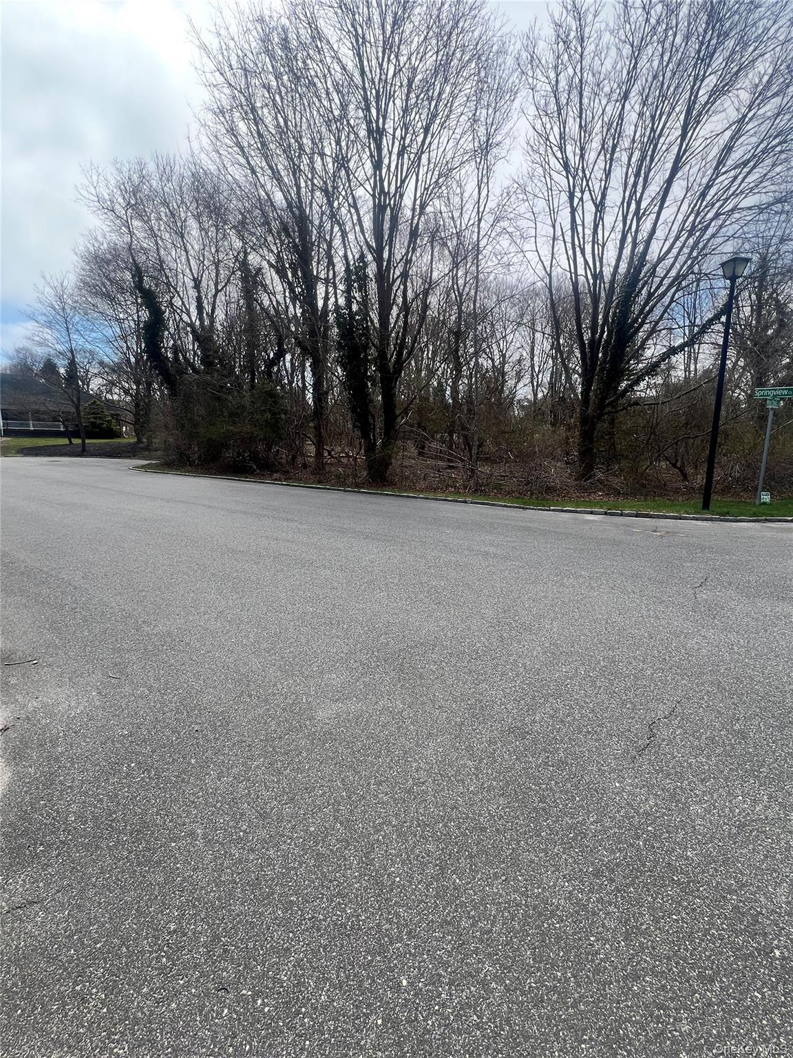 Springview Court East Patchogue, NY 11772 - Photo 4 of 6 a view of outdoor space with trees