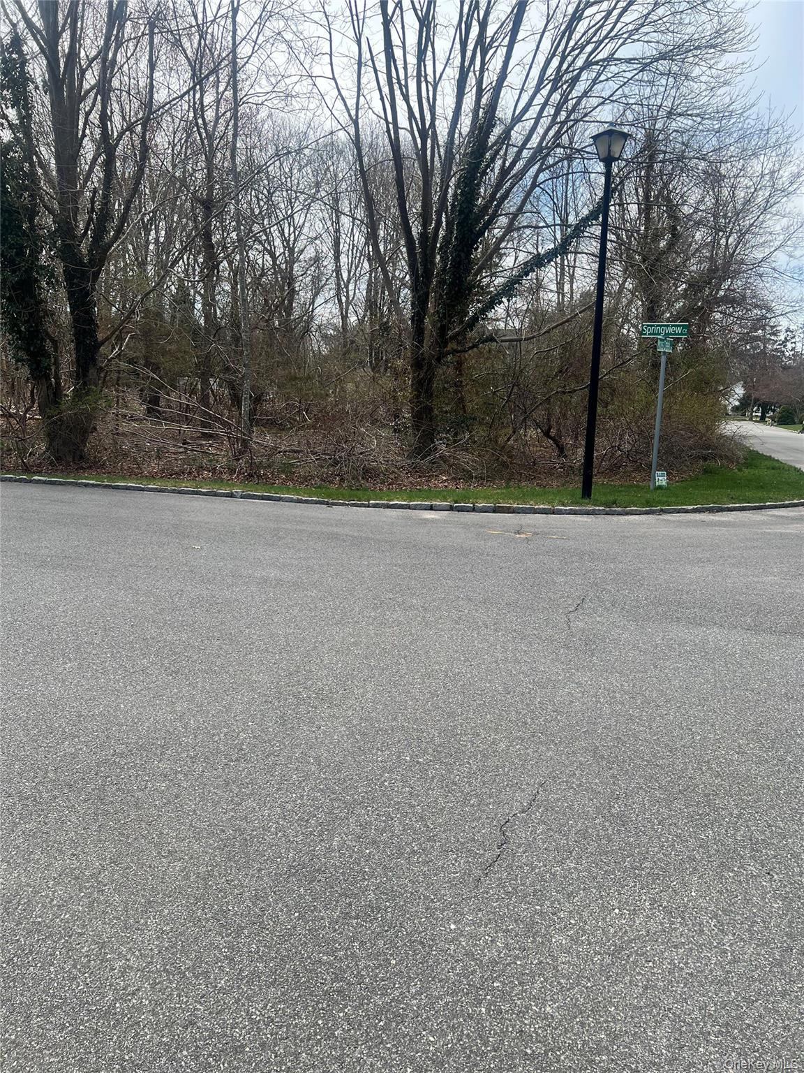 Springview Court East Patchogue, NY 11772 - Photo 5 of 6 a view of a field with trees in the background