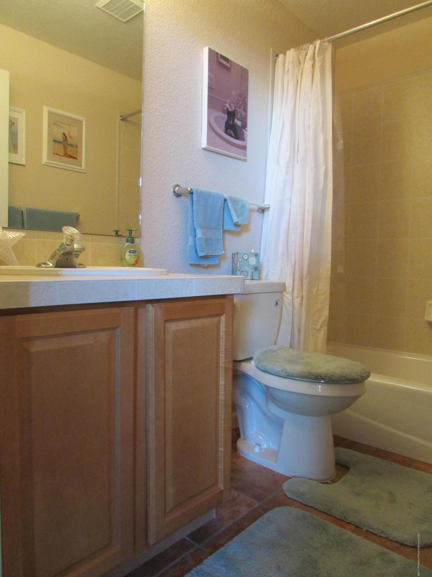166 South Ridge Court Parachute, CO 81635 - Photo 12 of 16 Guest Bathroom