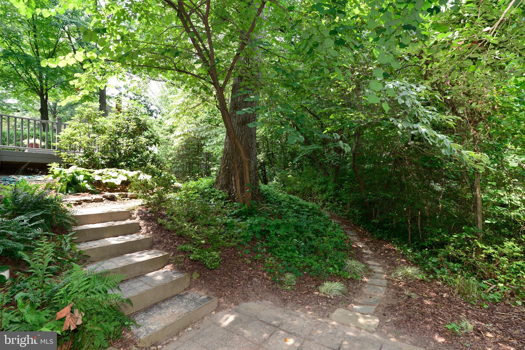 11480 Bingham Terrace Reston, VA 20191 - Photo 46 of 48 Stairs lead to/from the deck and lower level patio