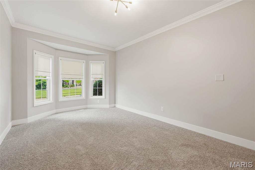 116 Timber Meadows Drive O'Fallon, MO 63368 - Photo 53 of 84
