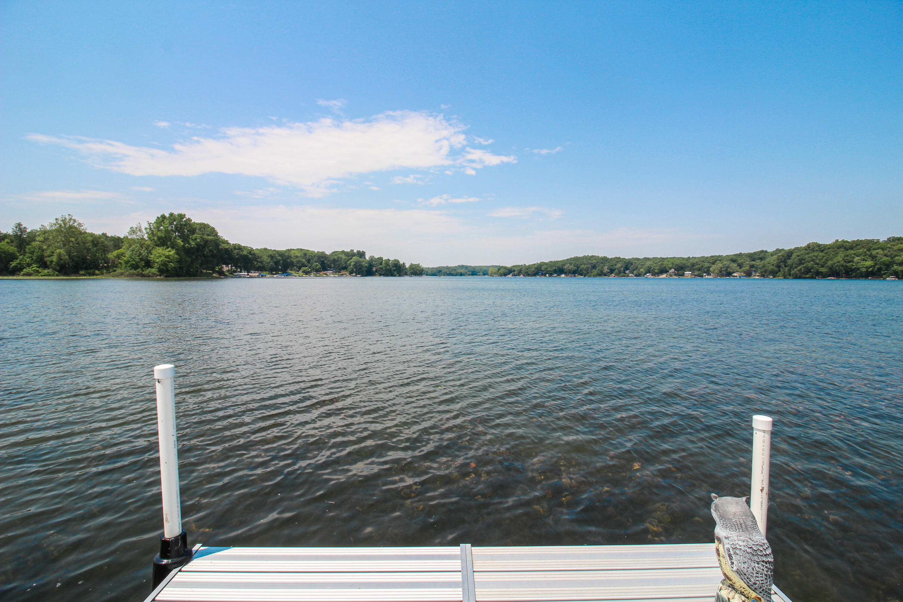 11790 Coon Hollow Road Three Rivers, MI 49093 - Photo 39 of 52 Coon Hollow-43