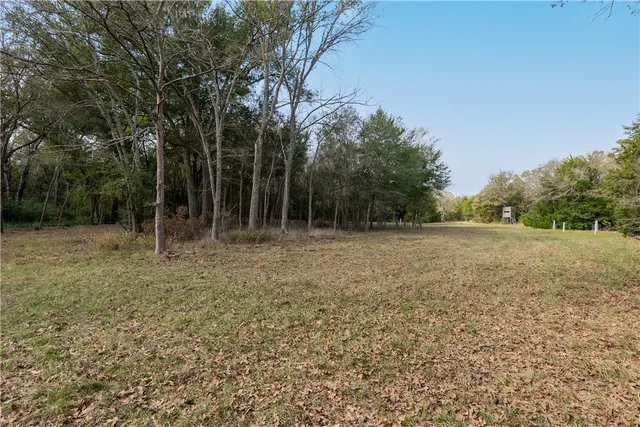a view of a yard with plants and a wooden bench