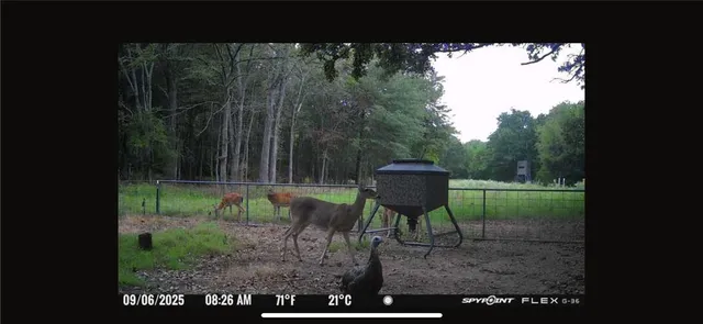 $1,350,000 | 201 Lcr 646, Thornton, TX 76687