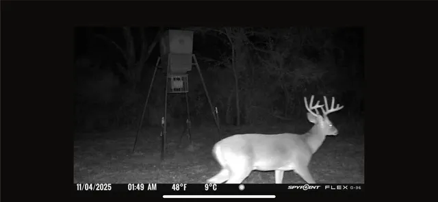 $1,350,000 | 201 Lcr 646, Thornton, TX 76687