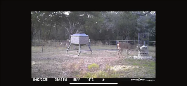 $1,350,000 | 201 Lcr 646, Thornton, TX 76687