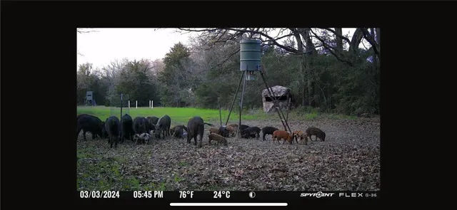 $1,350,000 | 201 Lcr 646, Thornton, TX 76687