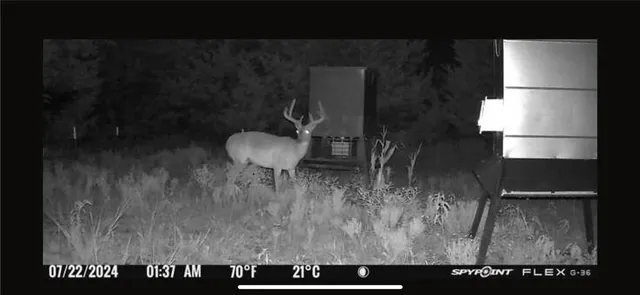 $1,350,000 | 201 Lcr 646, Thornton, TX 76687