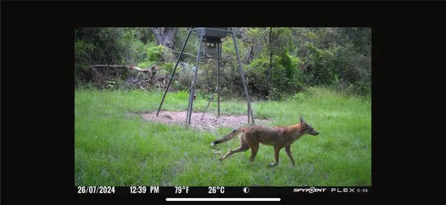 $1,350,000 | 201 Lcr 646, Thornton, TX 76687