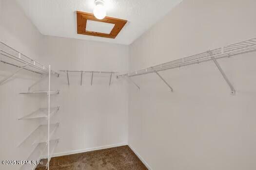 5260 Collins Road, Unit 802 Jacksonville, FL 32244 - Photo 8 of 14 Master Closet