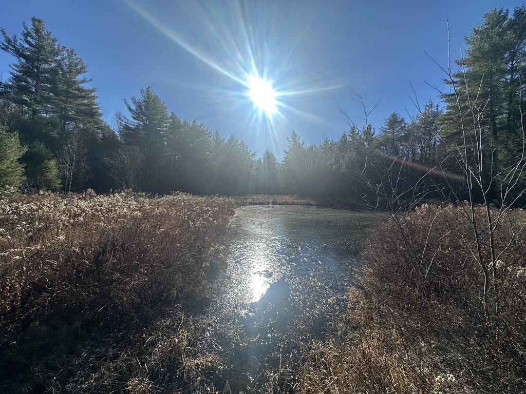 126 Old Claremont Road Acworth, NH 03601 - Photo 40 of 41