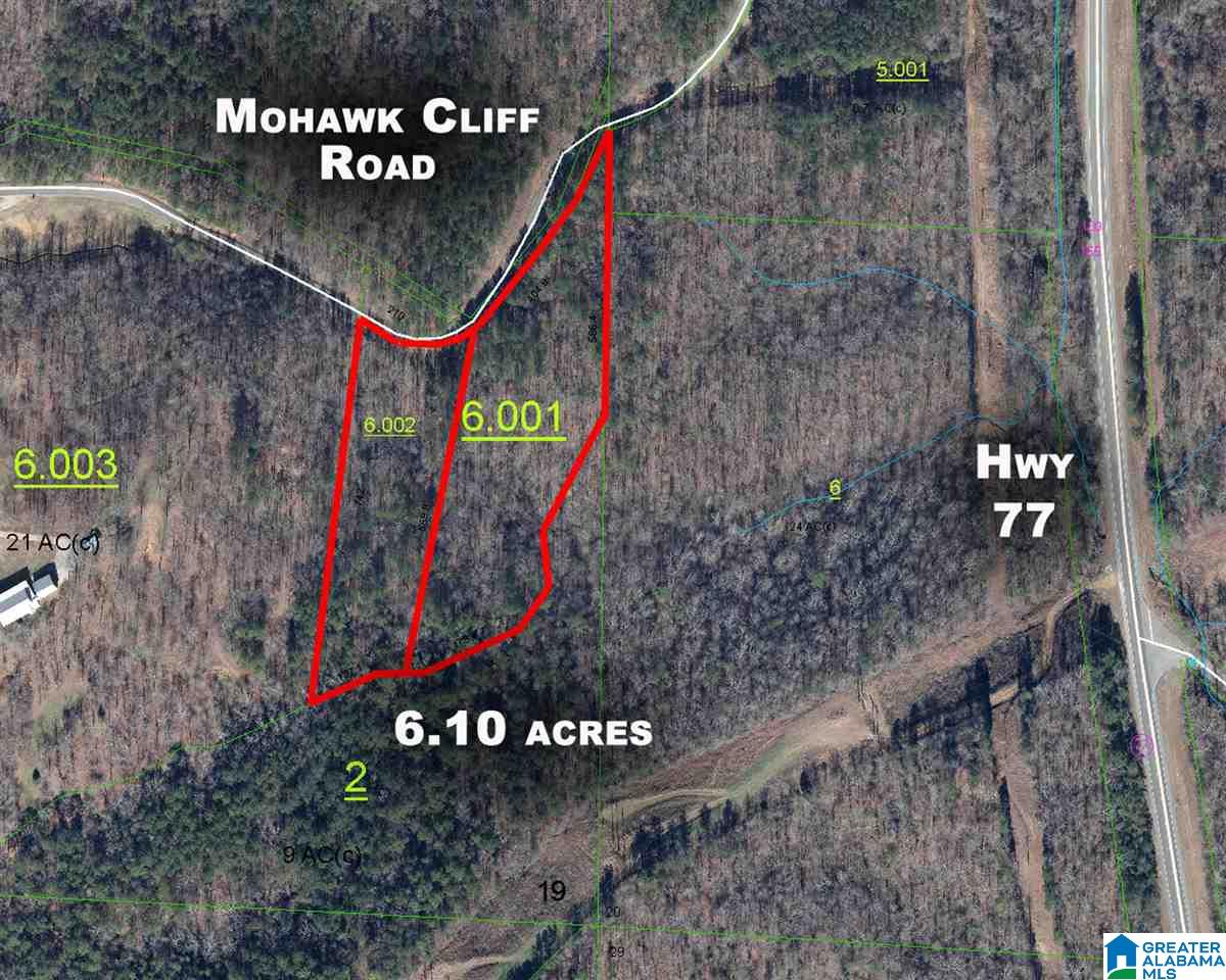 0 Mohawk Cliff Road Wellington, AL 36279 - Photo 1 of 2