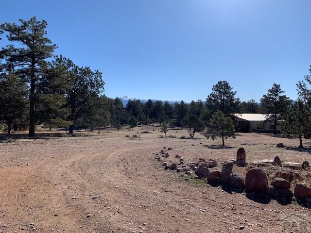 4575 Doe Valley Road Guffey, CO 80820 - Photo 44 of 47