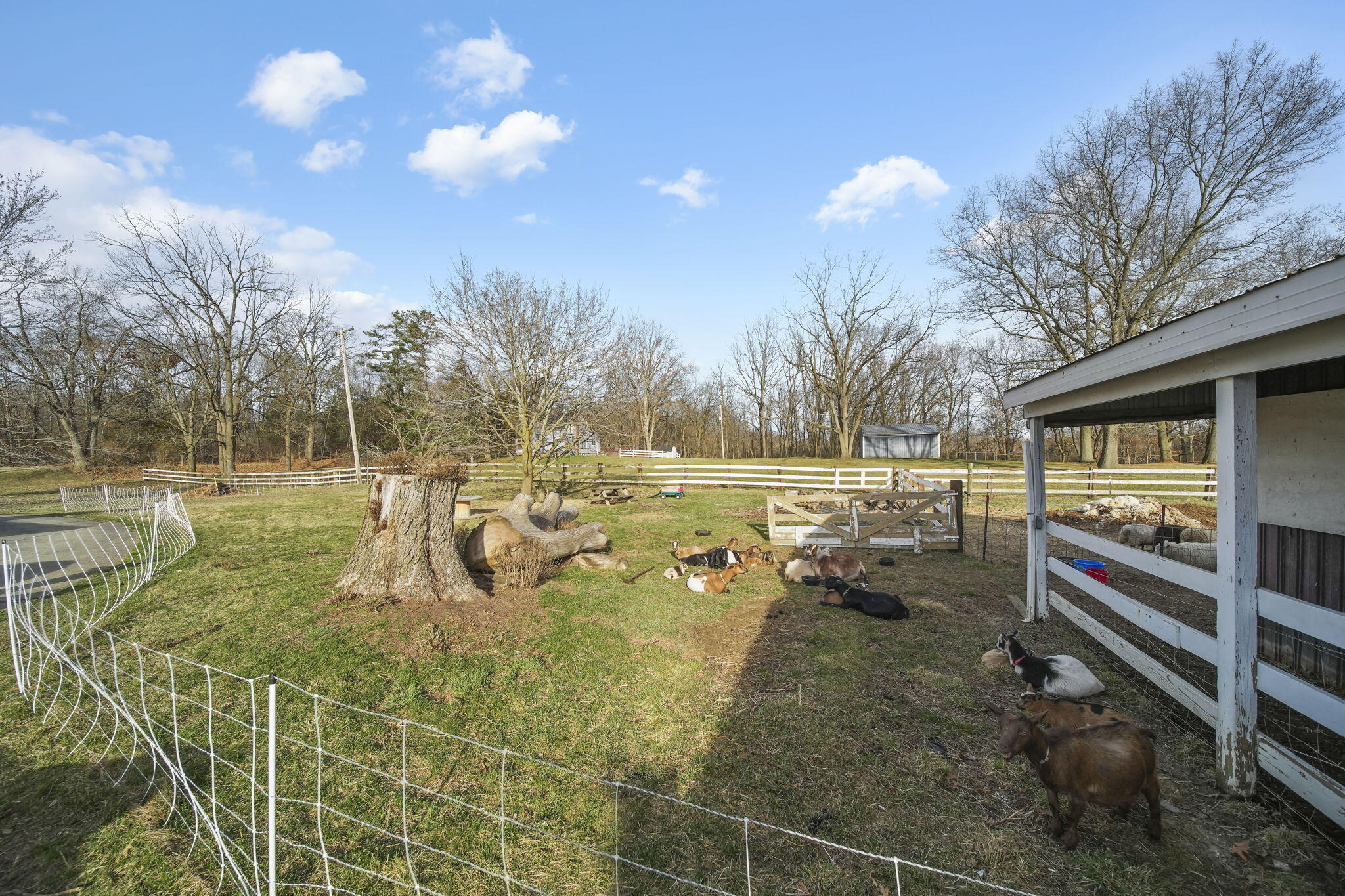 11233 Ladd Road Brooklyn, MI 49230 - Photo 47 of 70 47