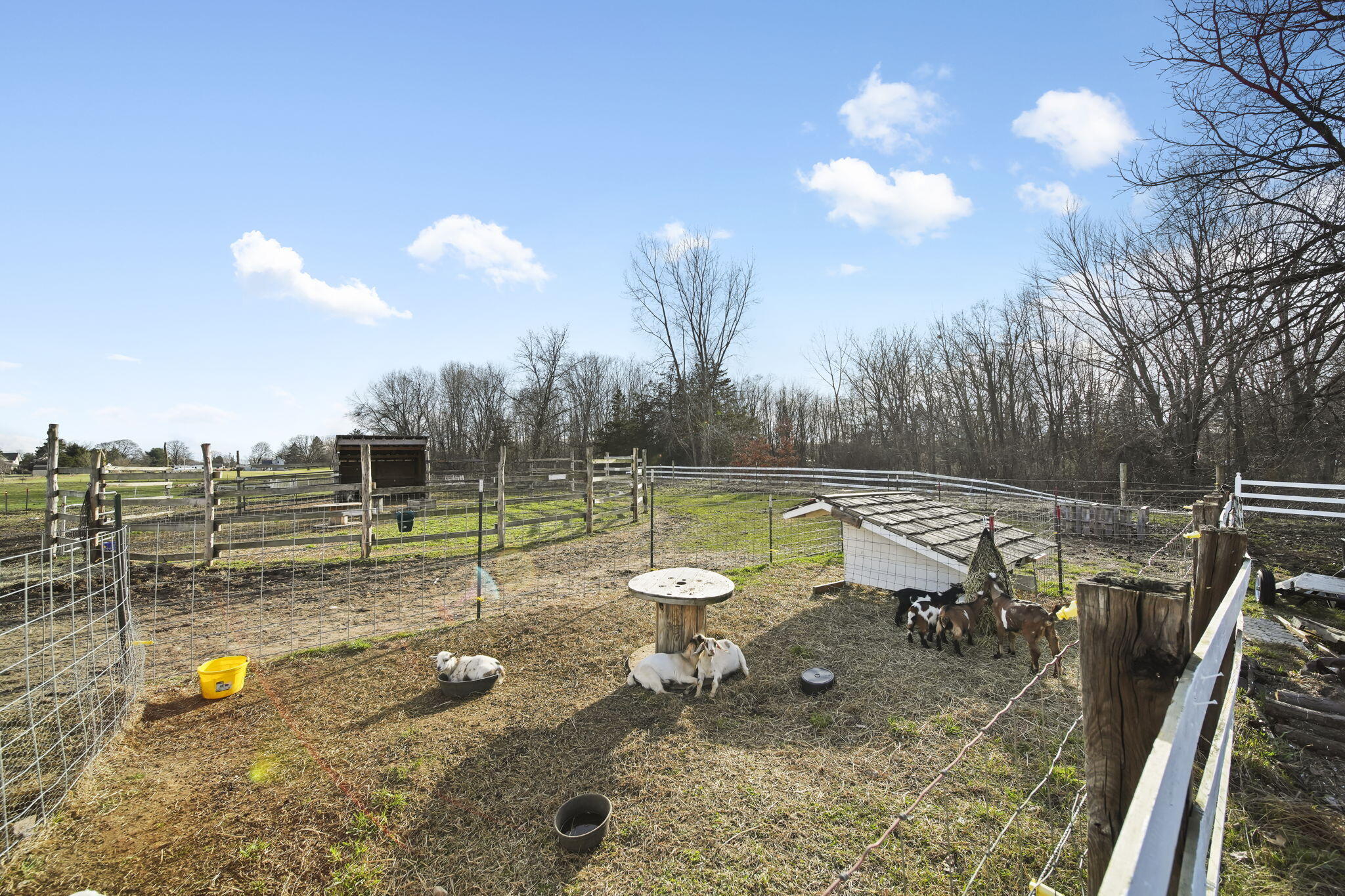 11233 Ladd Road Brooklyn, MI 49230 - Photo 51 of 70 51