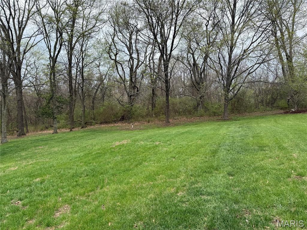 217 Creek Bottom Road Labadie, MO 63055 - Photo 78 of 87