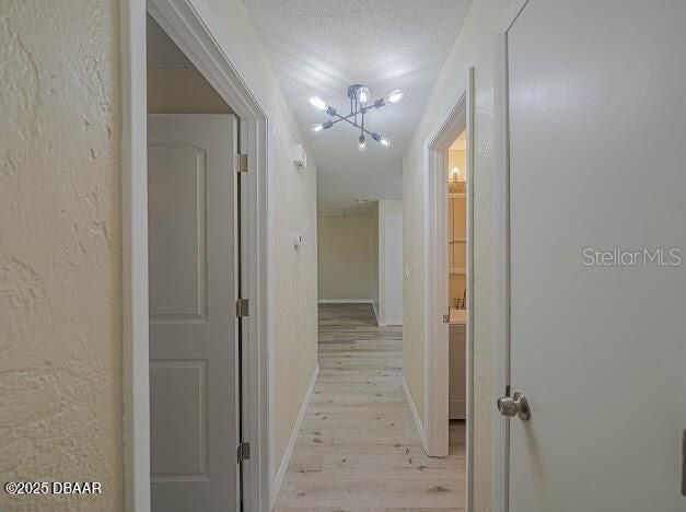 1022 4th Street Port Orange, FL 32129 - Photo 13 of 21 wooden floor with a bathroom