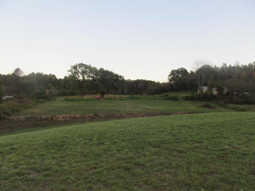 485 Branch Road Fall Branch, TN 37656 - Photo 3 of 6 Photo 3