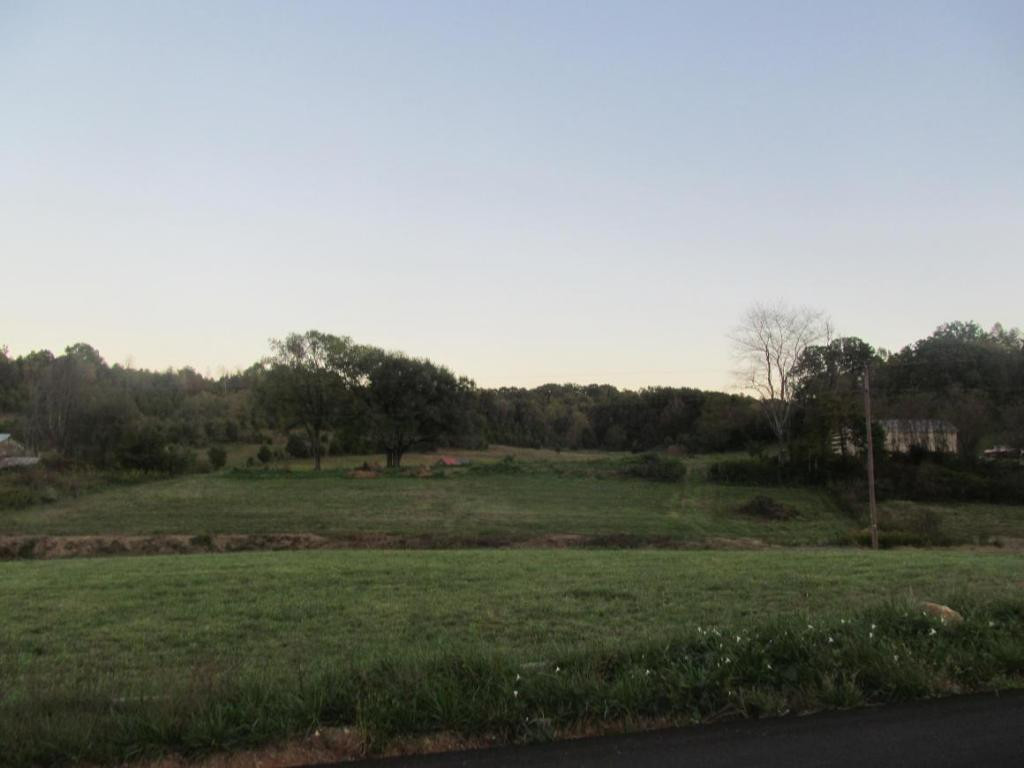 485 Branch Road Fall Branch, TN 37656 - Photo 4 of 6 Photo 4