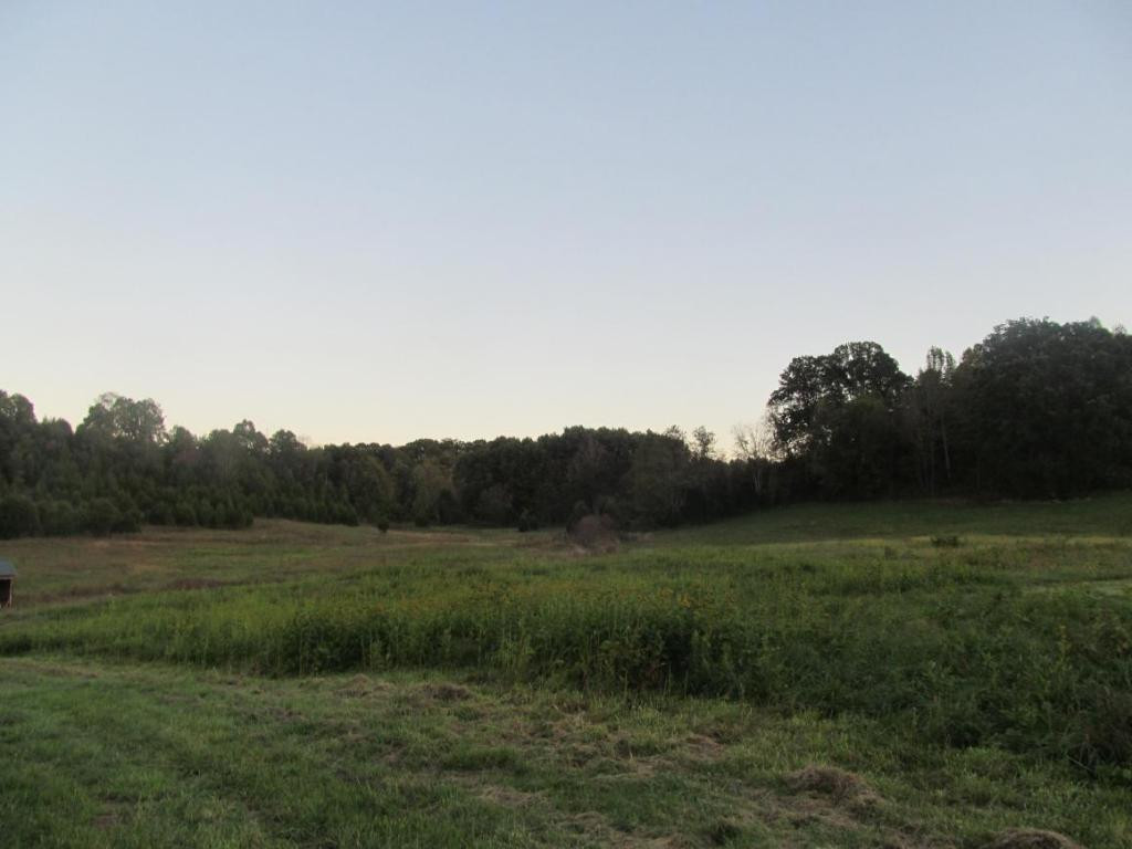 485 Branch Road Fall Branch, TN 37656 - Photo 5 of 6 Photo 5