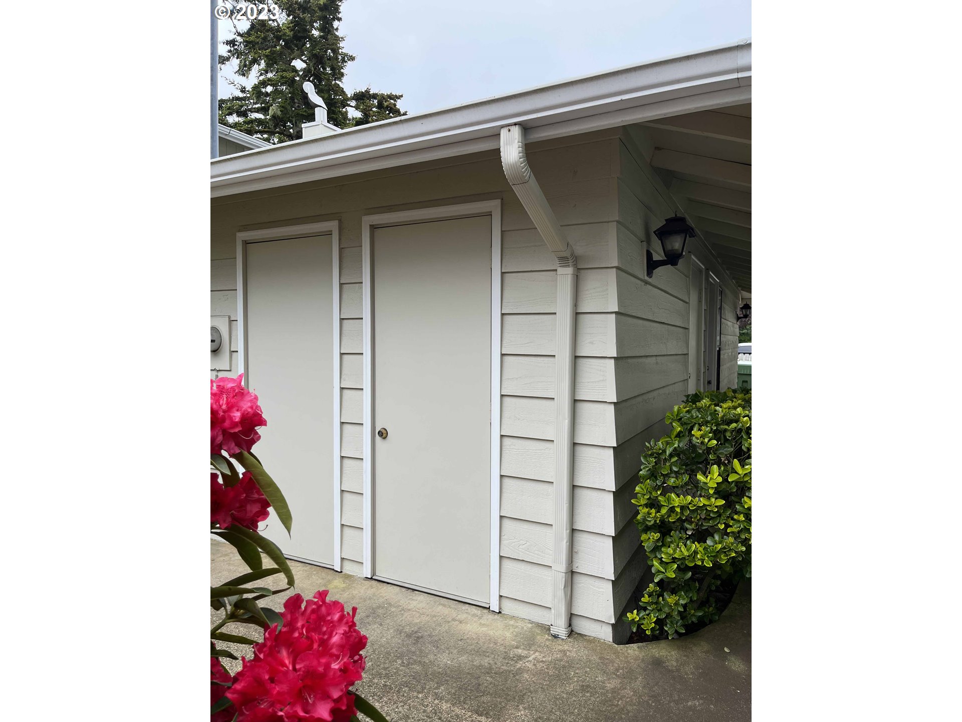 1340 9th Street, Unit 4 Florence, OR 97439 - Photo 28 of 31 a view of a potted plant