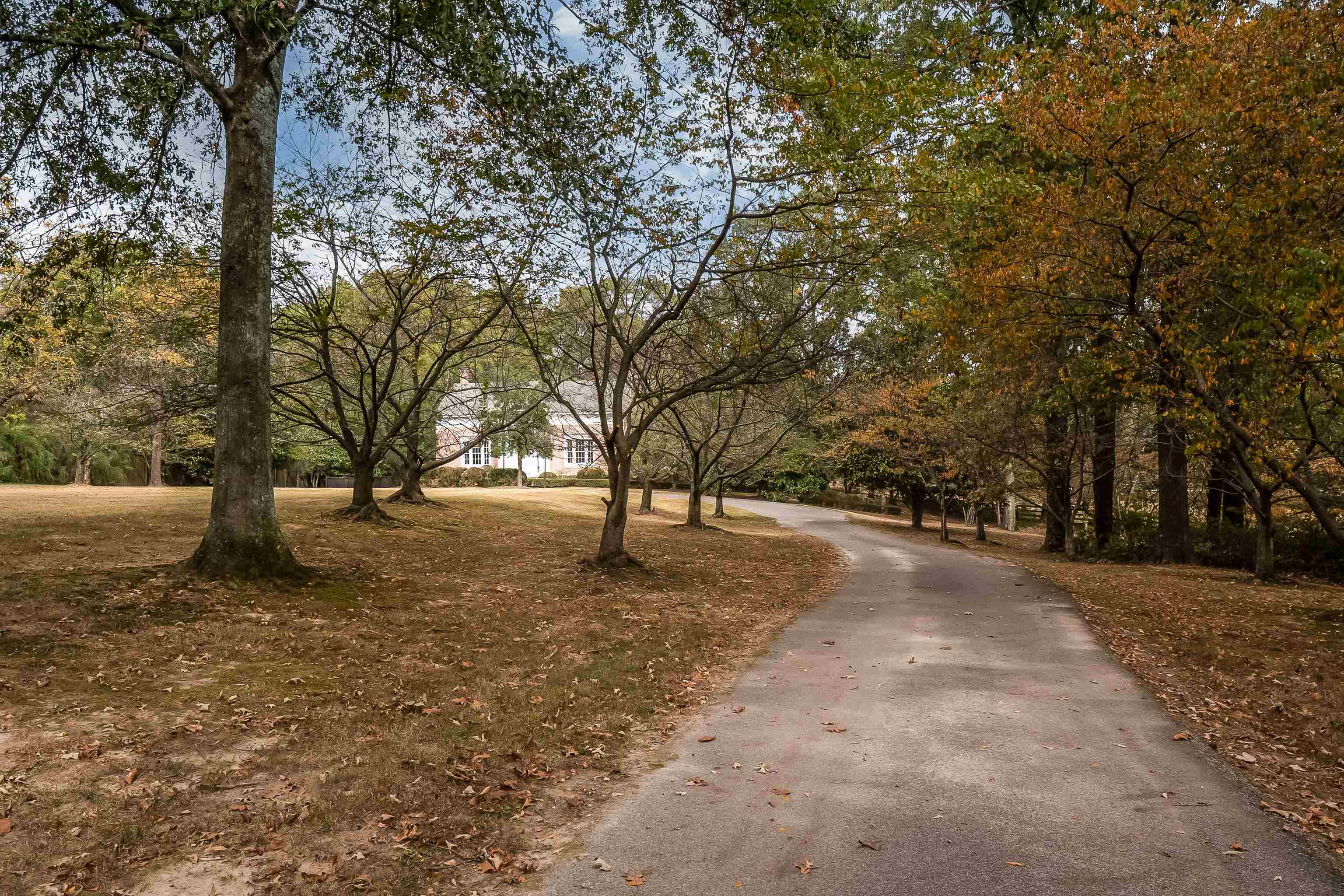 8750 Walnut Grove Road Memphis, TN 38018 - Photo 6 of 40 Gallery Image 6