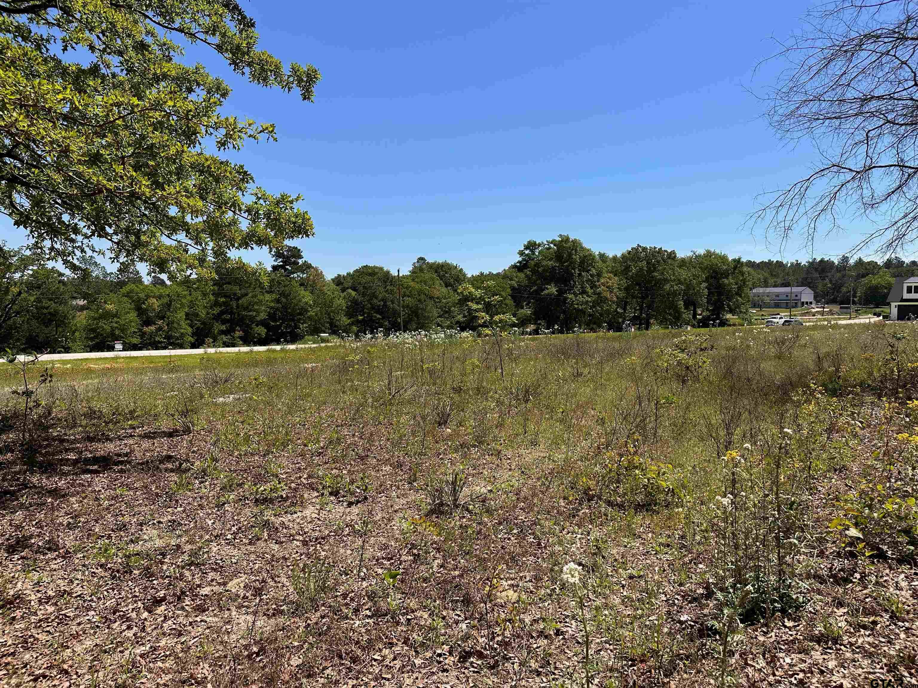 16935 Sawyer Way Lindale, TX 75771 - Photo 2 of 5 a view of a field with a tree