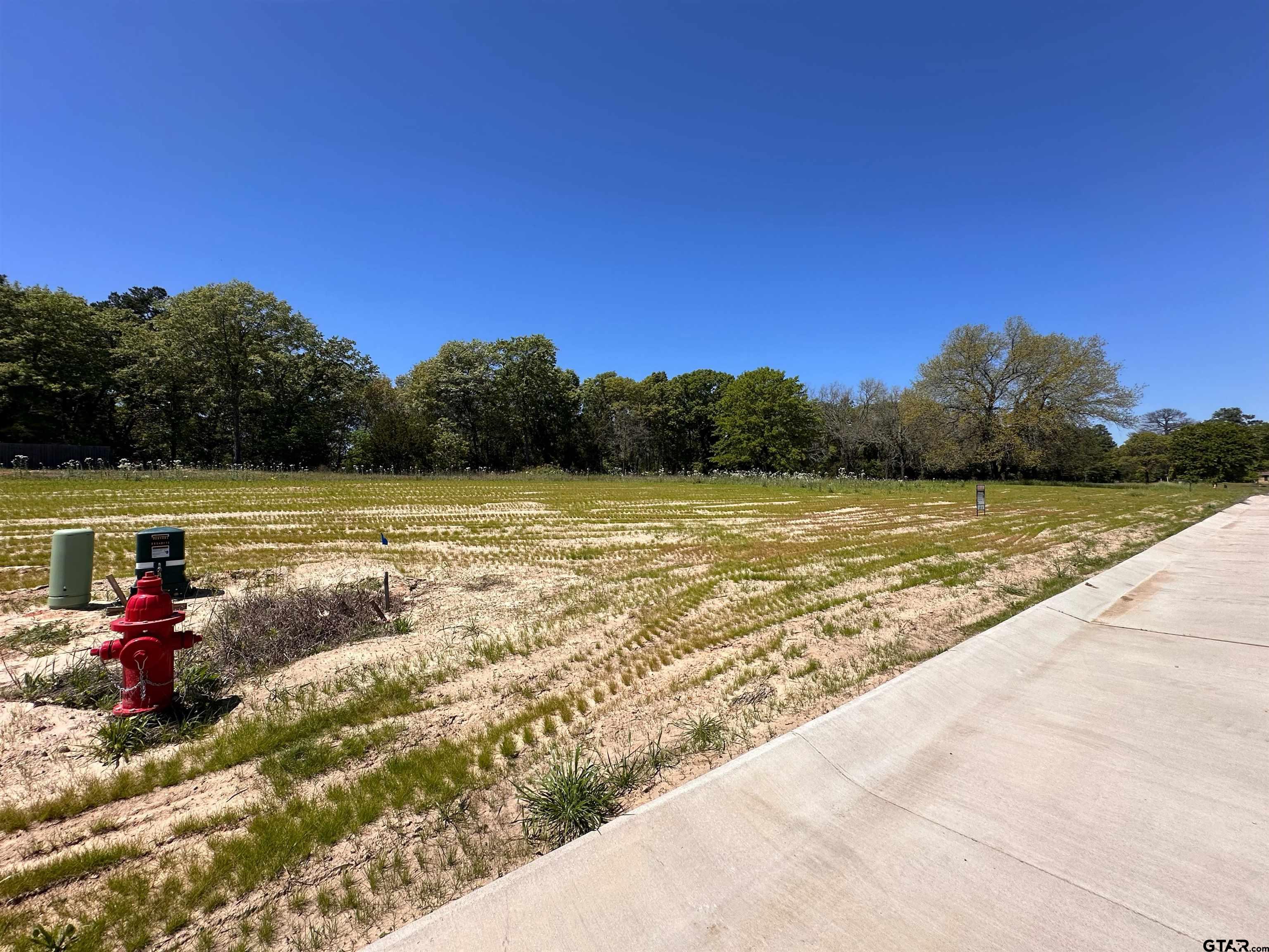 16935 Sawyer Way Lindale, TX 75771 - Photo 3 of 5 a view of a lake with a yard