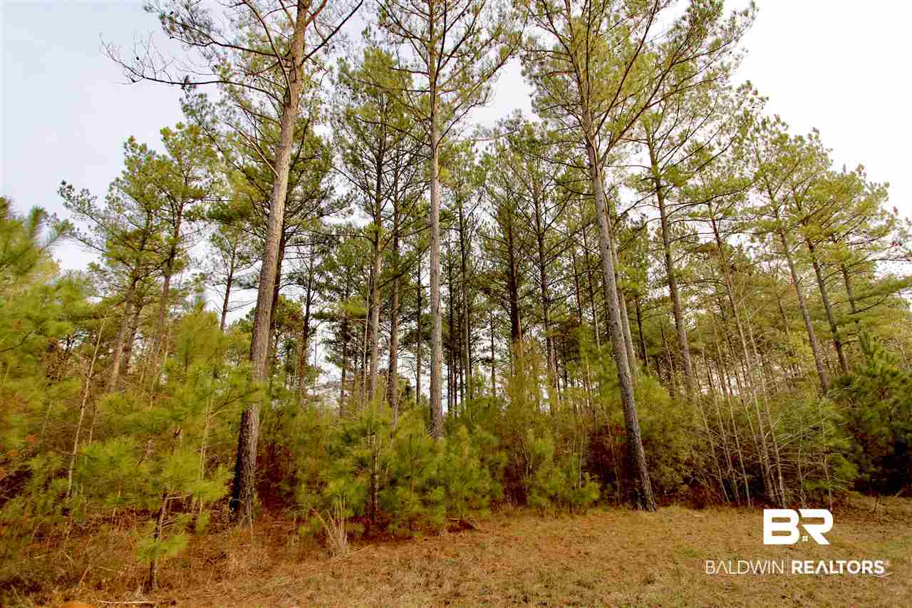 0 Sexton Brg Road Luverne, AL 36049 - Photo 46 of 50