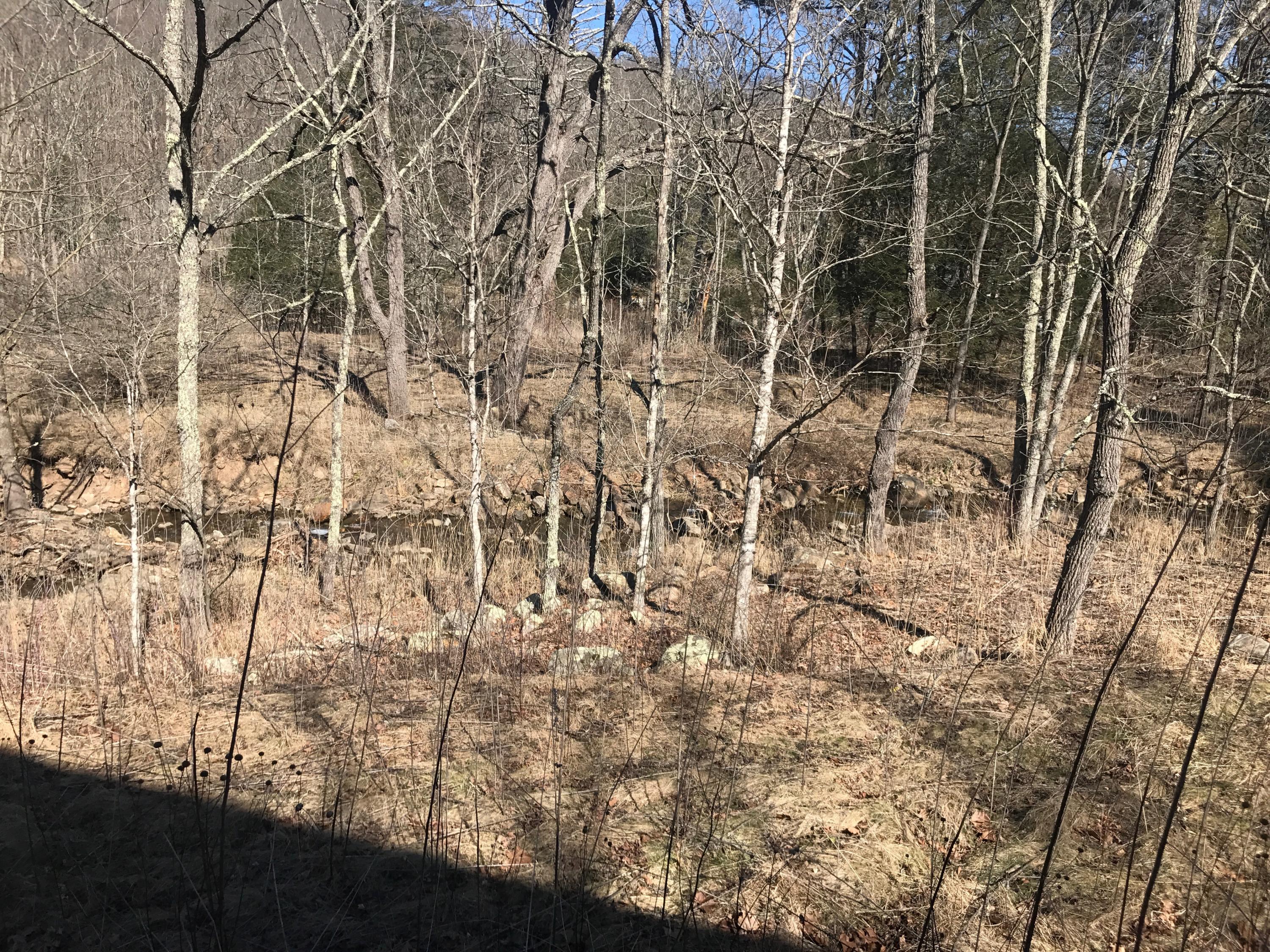 0 Big Valley Road Warm Springs, VA 24484 - Photo 14 of 18 FFE86414-19A4-40BC-9D53-88CBEC5C0D9A